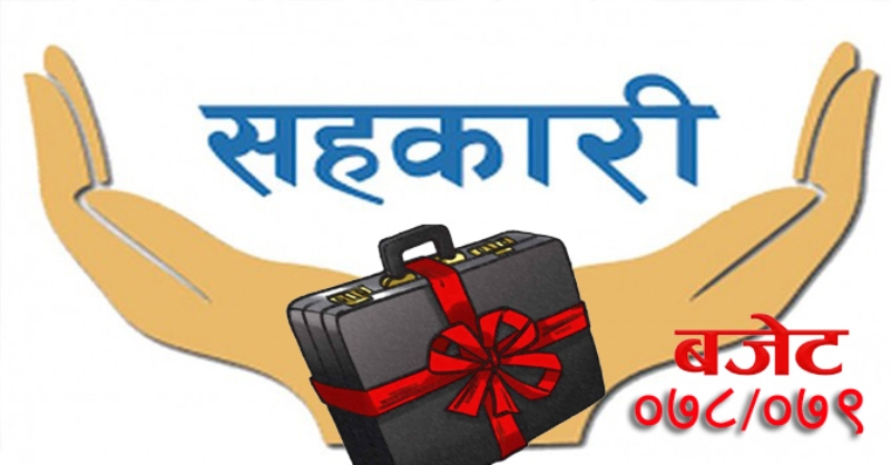 बजेटमा सहकारी